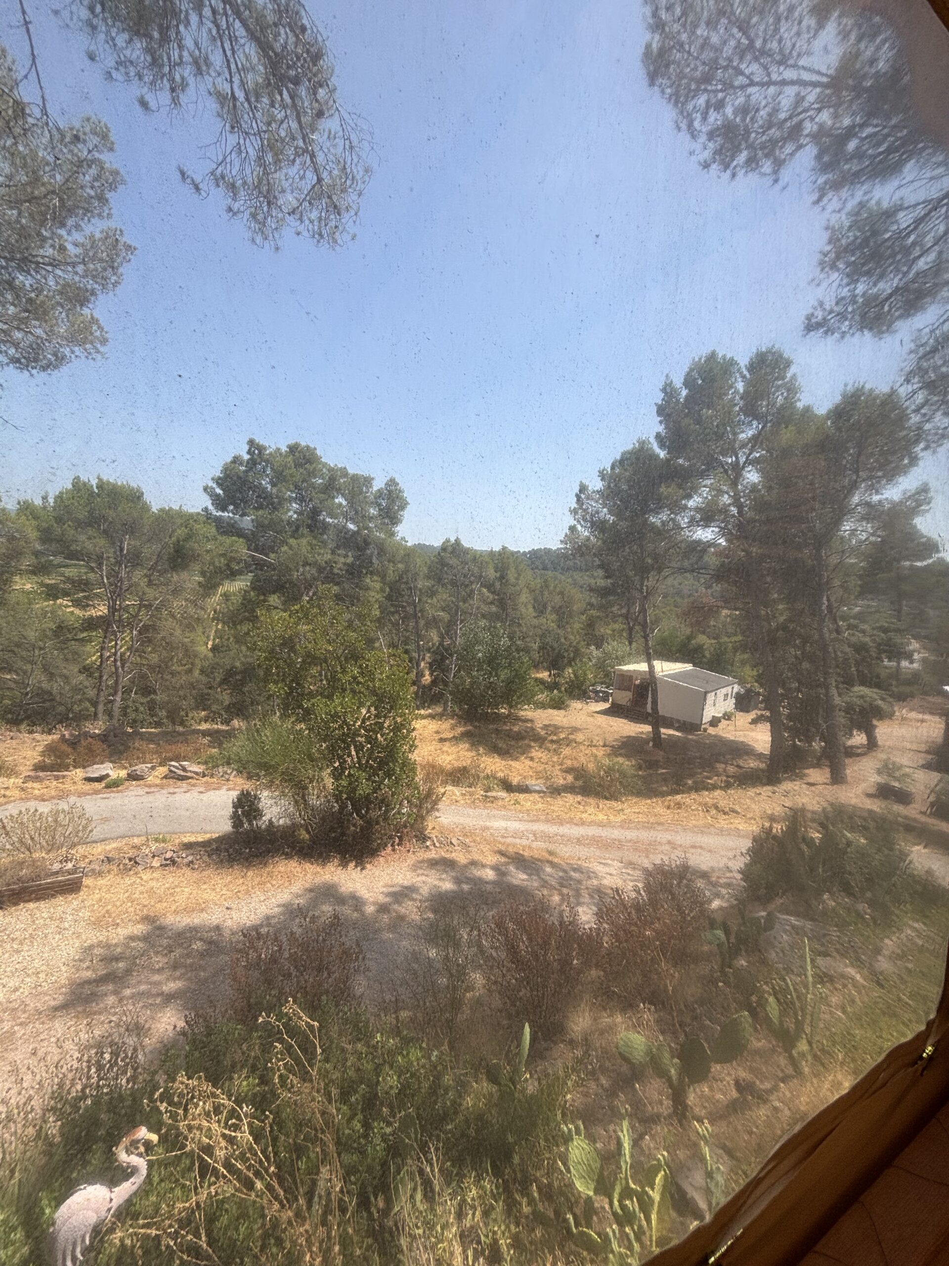 Vue de la pinède depuis un balcon du domaine, mobil-home visible au loin